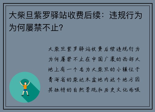 大柴旦紫罗驿站收费后续：违规行为为何屡禁不止？