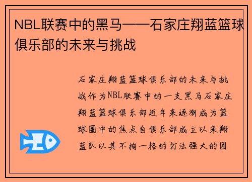 NBL联赛中的黑马——石家庄翔蓝篮球俱乐部的未来与挑战