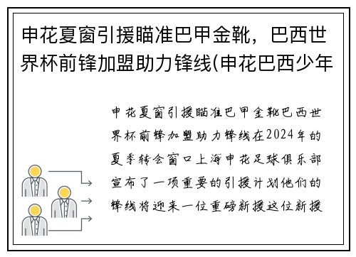 申花夏窗引援瞄准巴甲金靴，巴西世界杯前锋加盟助力锋线(申花巴西少年队)