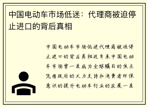 中国电动车市场低迷：代理商被迫停止进口的背后真相
